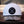 Deadshot Performance Snapback