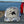 Pheasant flying - 7 Panel camo